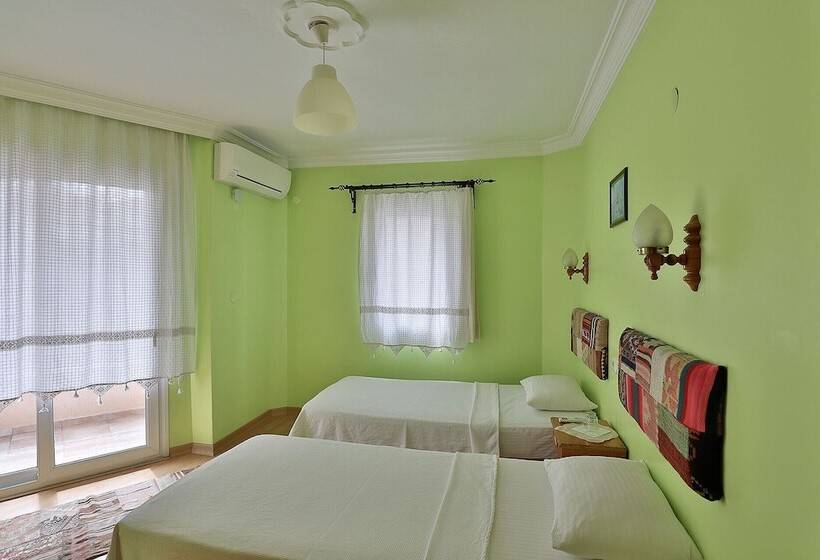 スタンダードルーム, Nazar