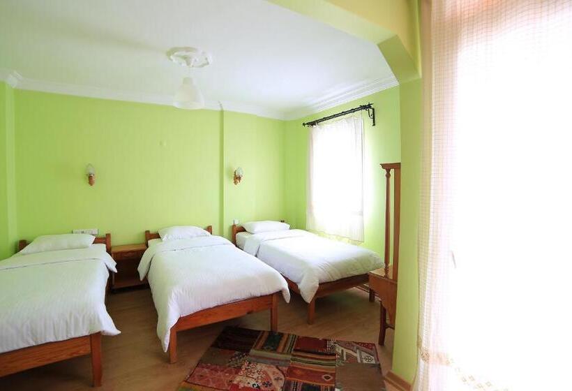 スタンダードトリプルルーム, Nazar