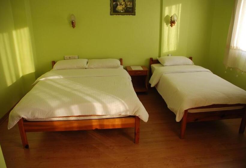 スタンダードトリプルルーム, Nazar