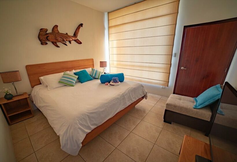 스탠다드 룸 더블 침대 도시 전망, Albatross