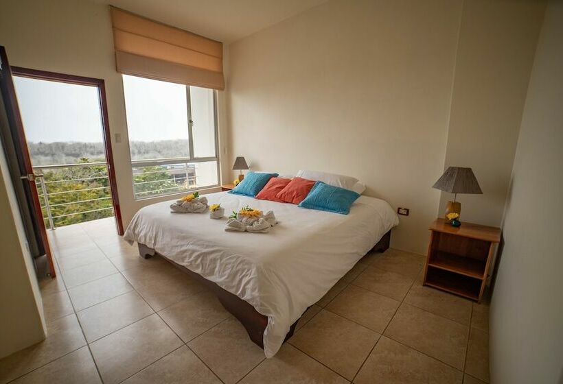 스탠다드 룸 더블 침대 도시 전망, Albatross