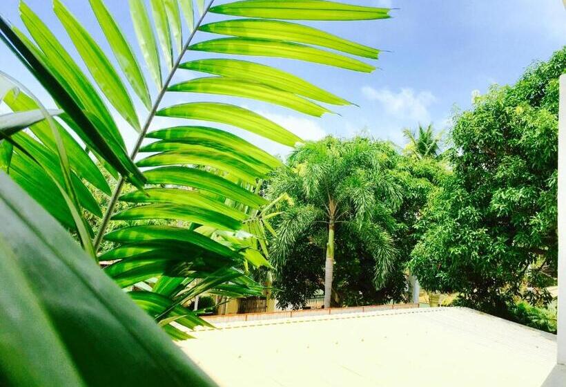 جناح جونيور, Dorset