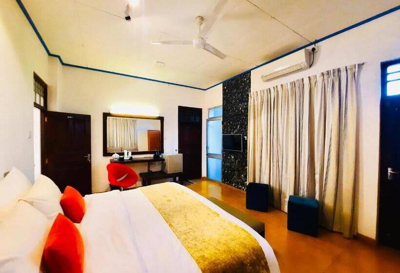 جناح جونيور, Dorset