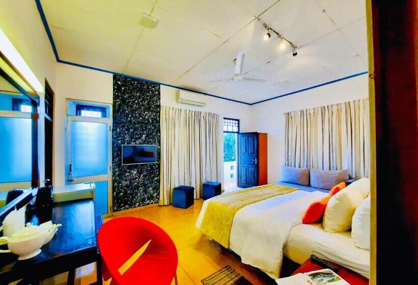 جناح جونيور, Dorset