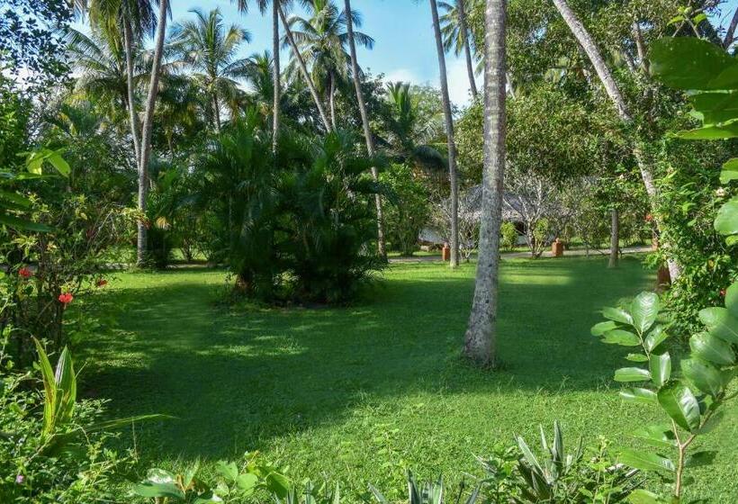 经济房, Eva Lanka Hotel   Beach & Wellness