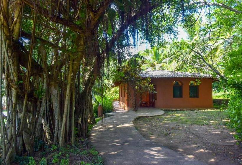 一居室别墅, Eva Lanka Hotel   Beach & Wellness