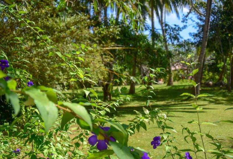 Семейный Номер Вид на Сад, Eva Lanka Hotel   Beach & Wellness