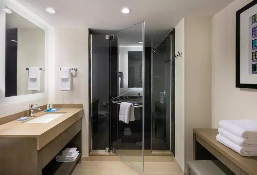 استودیو استاندارد با تخت کینگ, Hyatt House Charleston Historic District