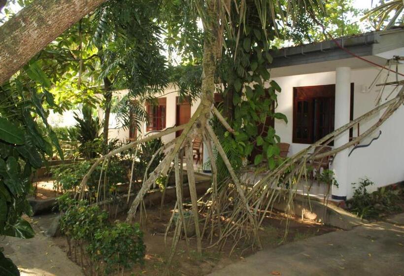 غرفة قياسية مطلّة علي حمام السباحة, Jagabay Resort & Surfing School