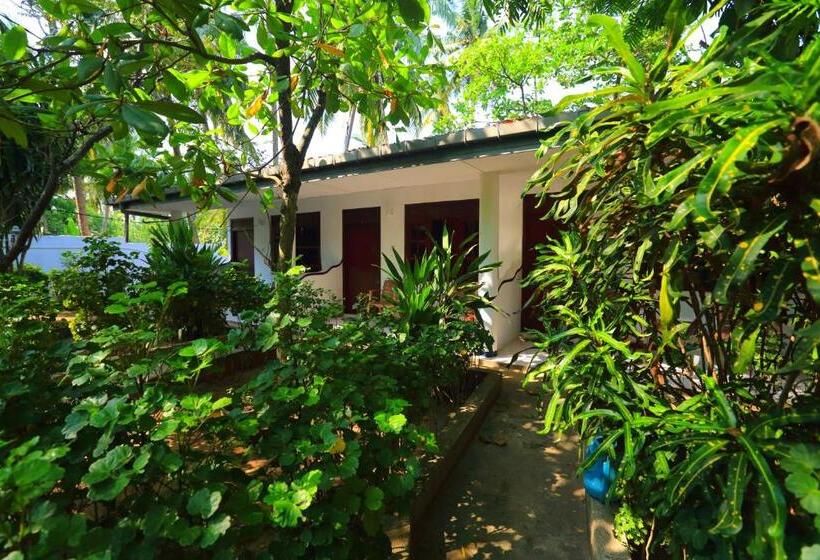 可看到泳池的单人间, Jagabay Resort & Surfing School
