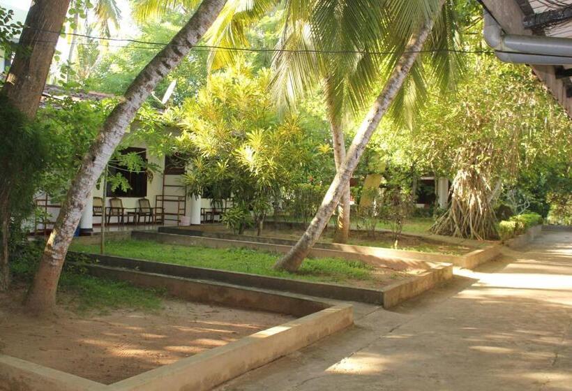 غرفة قياسية ثلاثية مطلة علي حمام السباحة, Jagabay Resort & Surfing School