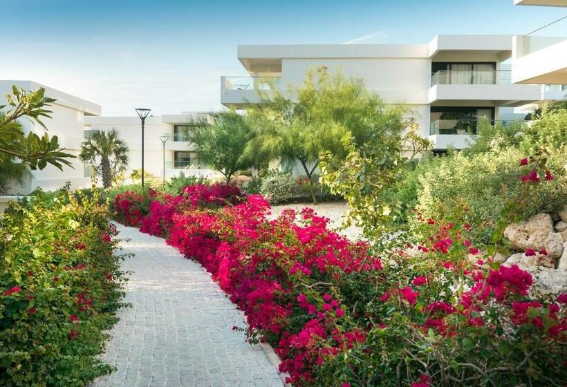 اتاق استاندارد با تخت بزرگ, Papagayo Beach