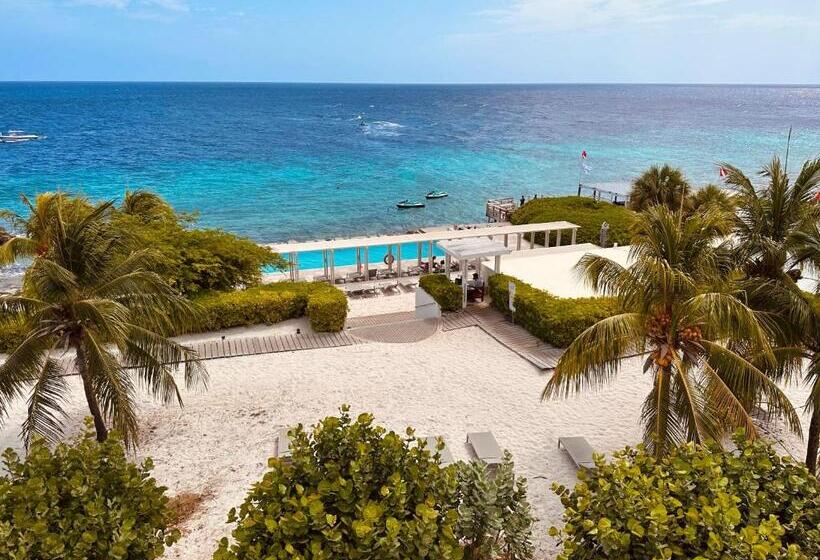 اتاق استاندارد با تخت بزرگ, Papagayo Beach