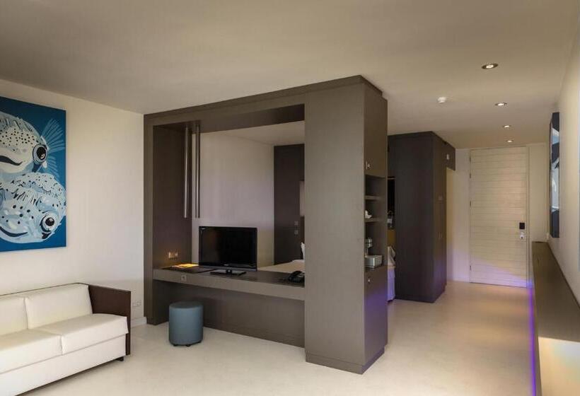 اتاق استاندارد با تخت بزرگ, Papagayo Beach