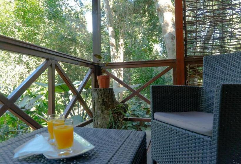 חדר סטנדרט, Selva De Laurel