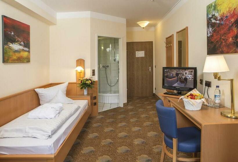 חדר סטנדרט יחיד, Johannesbad Hotel Füssinger Hof