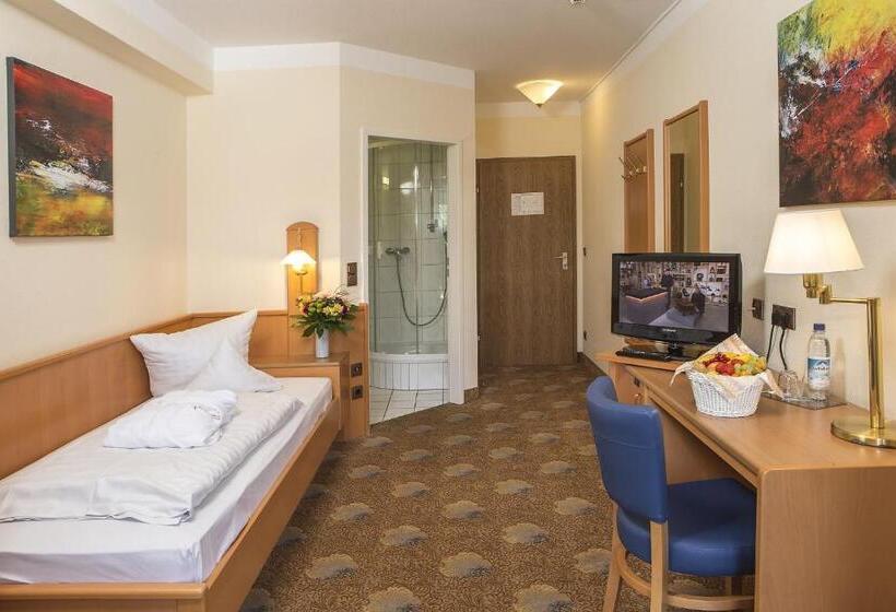 חדר דלוקס יחיד, Johannesbad Hotel Füssinger Hof
