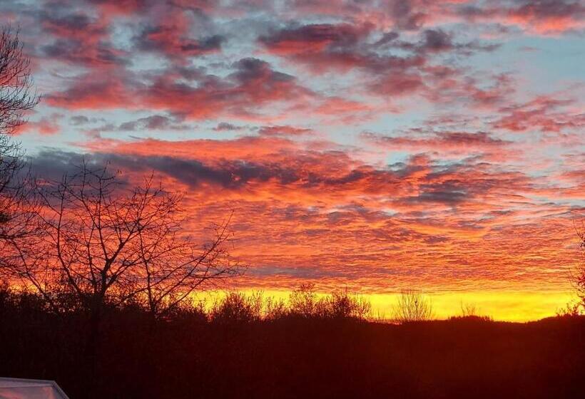 标准房带园景, Château De Chazelpaud