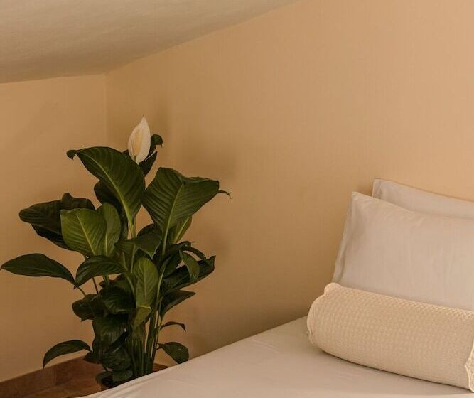 סוויטה נוף לים, Griffon Kymi Hotel Previously Known As Valledi Village