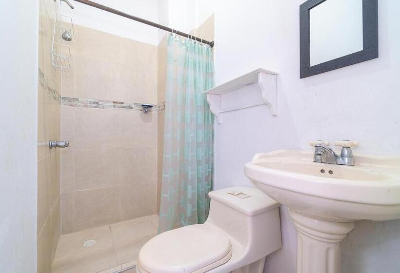 スタンダードルーム, Ayenda De Las Mercedes