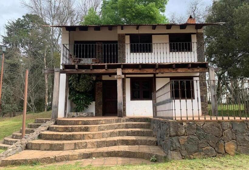 غرفة عائلية, Hacienda Venta De Guadalupe