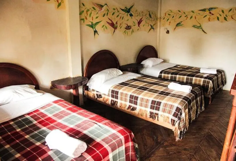 ファミリールーム, Hosteria Hachacaspi
