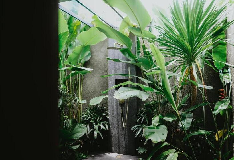 غرفة ديلوكس, Porter Hotel   Surf & Yoga Retreat