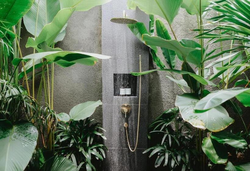 Номер Deluxe, Porter Hotel   Surf & Yoga Retreat
