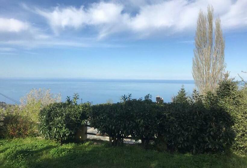 בית, חדר שינה 1, Ellis Full Guest House