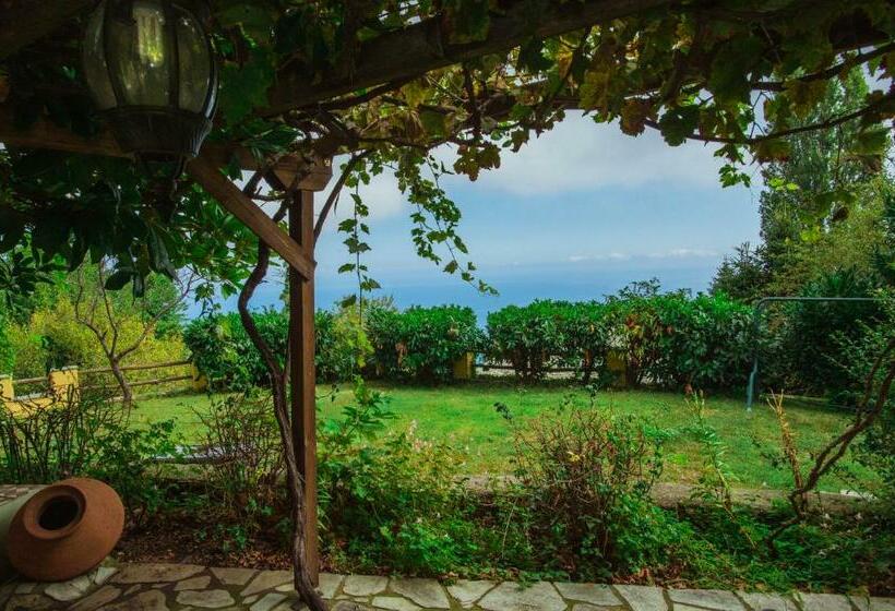 בית, חדר שינה 1, Ellis Full Guest House