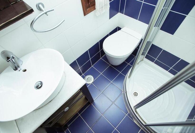 בית, חדר שינה 1, Ellis Full Guest House