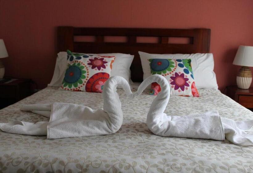 Standard Room, Milodon