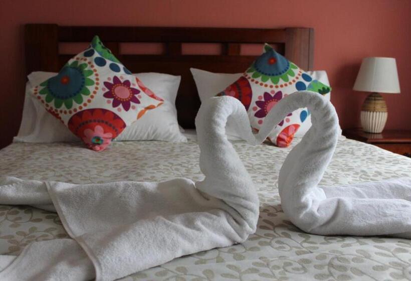 Cameră Standard, Milodon