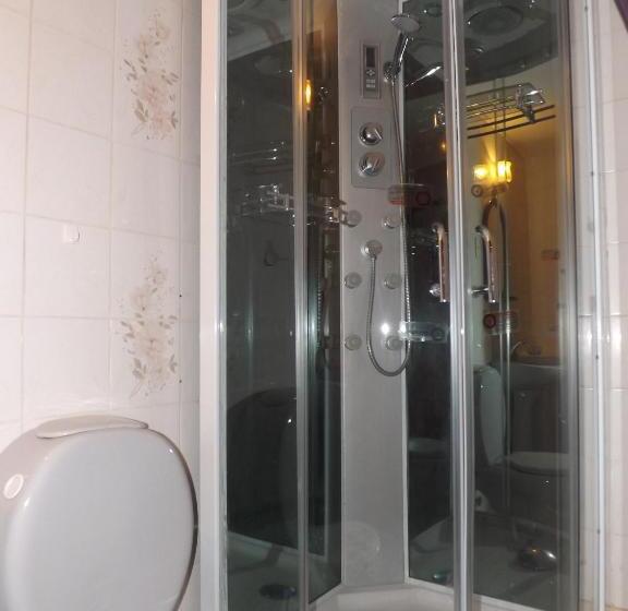 Cameră Standard, Milodon