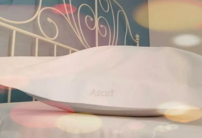 エコノミールーム, Ascot
