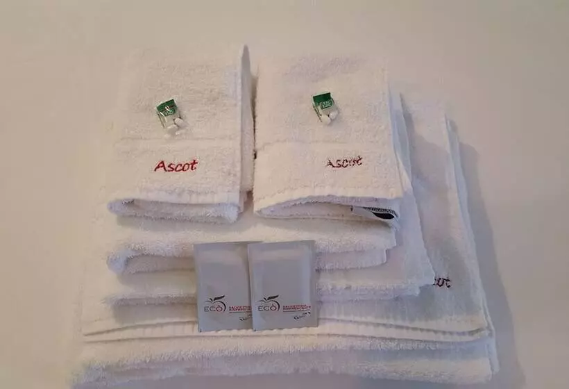 コンフォートトリプルルーム, Ascot