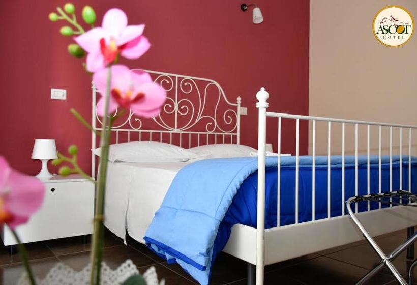 Номер Стандарт, Ascot