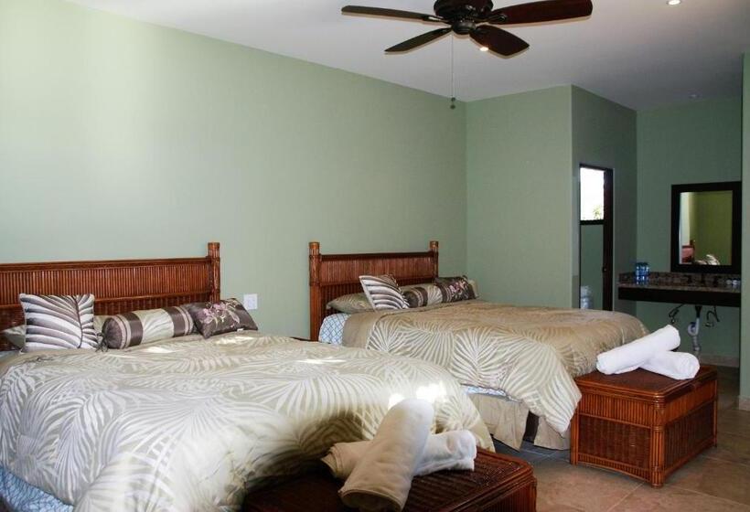 스탠다드 전망 룸, Cerritos Beach Inn