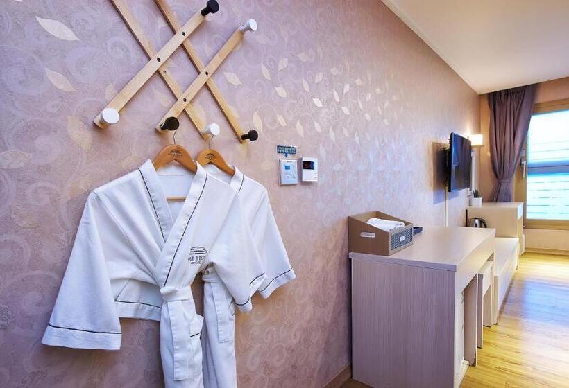 اتاق لوکس, Dome Hotel Geoje