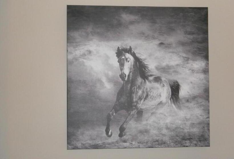 غرفة قياسية, Stampeder Inn