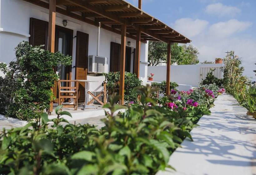 غرفة قياسية, Petros Studios & Suites