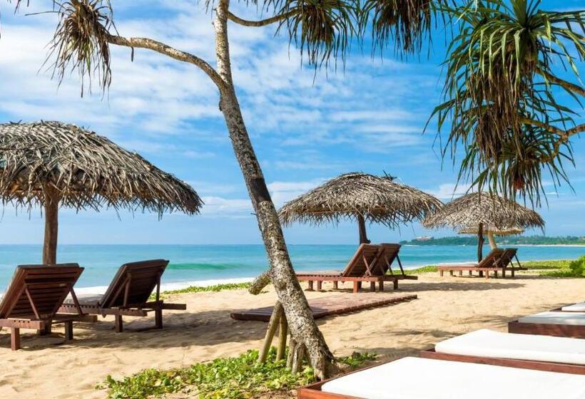 スイート, Good Karma