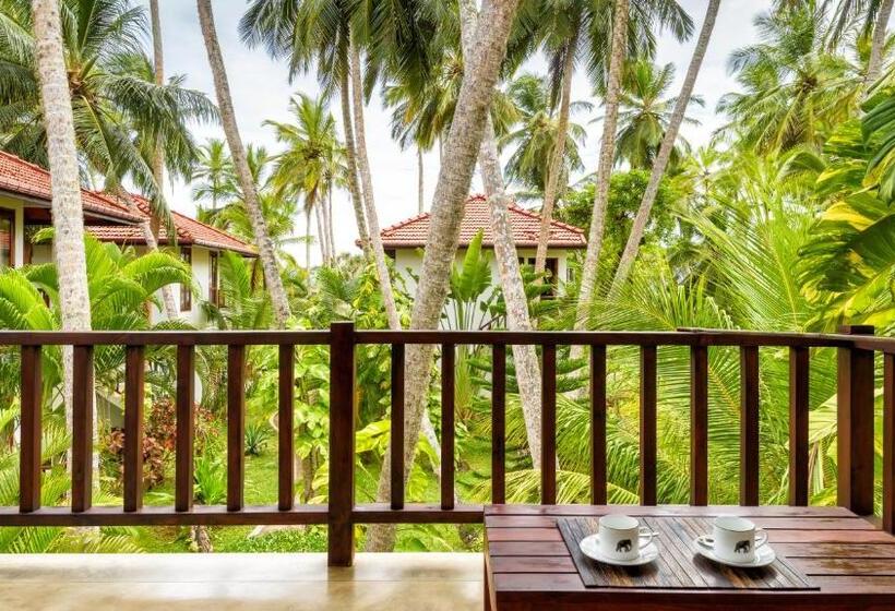 ガーデンビュースイート, Good Karma