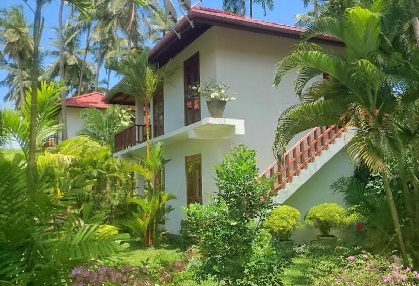 スタンダードルーム, Good Karma