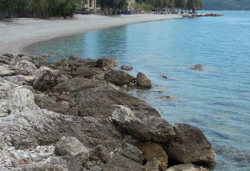 חדר סטודיו סטנדרד, Theasis