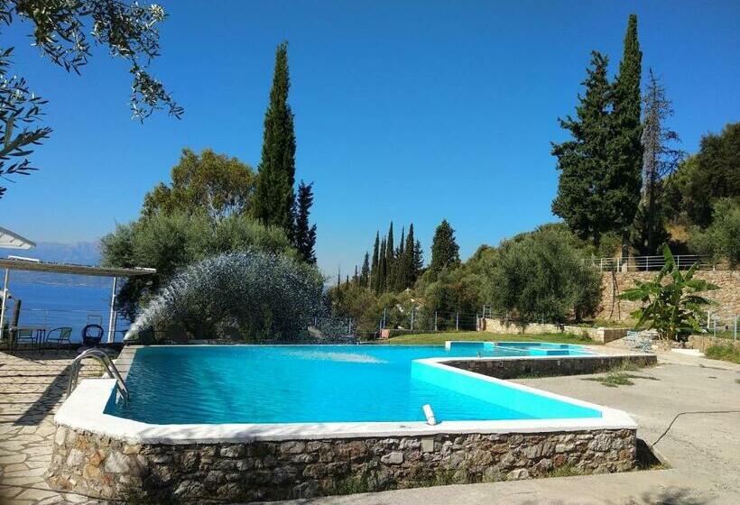 חדר סטודיו סטנדרד, Theasis