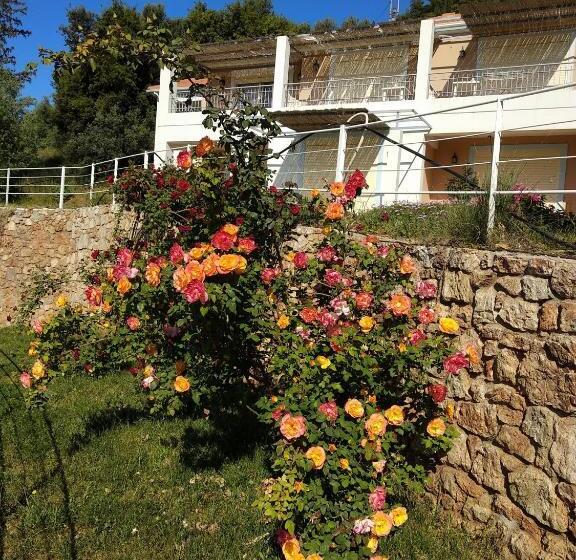 חדר סטודיו סטנדרד, Theasis