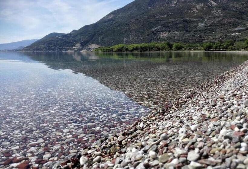 חדר סטודיו סטנדרד, Theasis