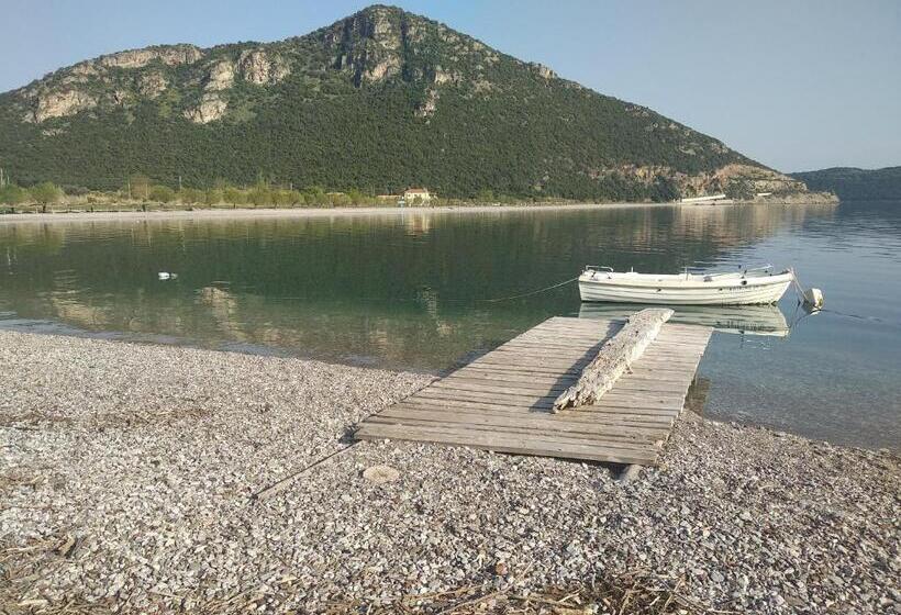 חדר סטודיו סטנדרד, Theasis