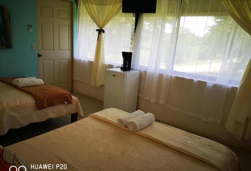 غرفه قياسيه سريرين مزدوجين, Hospedaje La Galerie